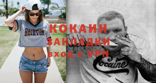 ГАЛЛЮЦИНОГЕННЫЕ ГРИБЫ Белокуриха