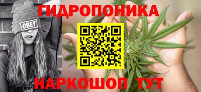 каннабис Гатчина