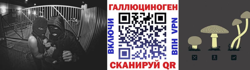 ОМГ ОМГ tor  где купить наркотик  Коркино  Псилоцибиновые грибы мицелий 