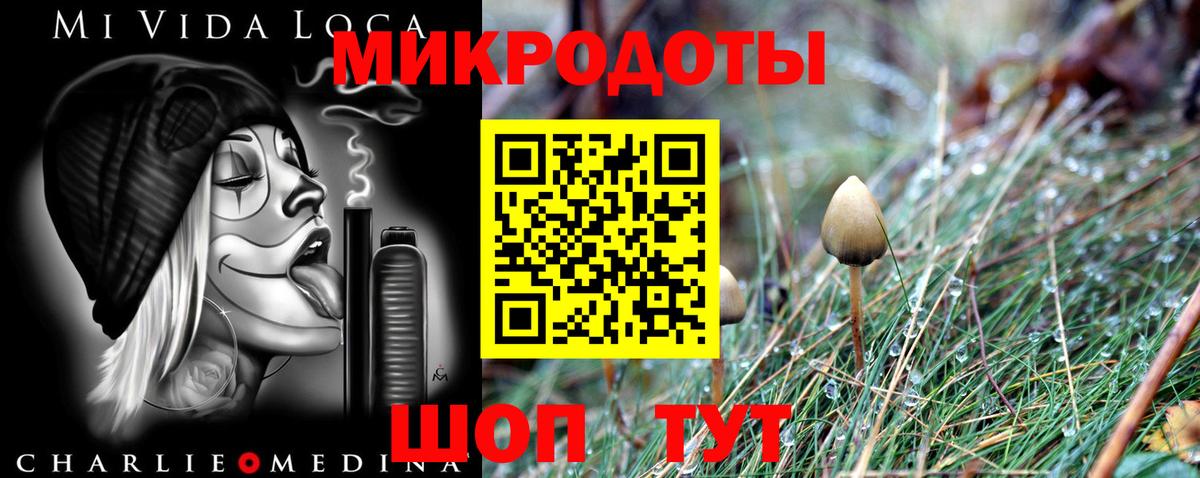 Псилоцибиновые грибы ЛСД Коркино