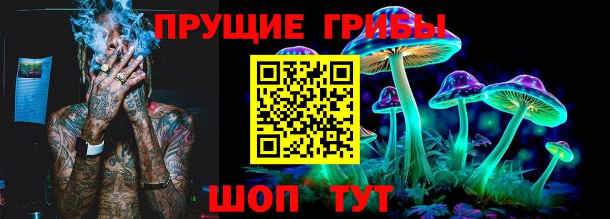 Псилоцибиновые грибы Cubensis  Псилоцибиновые грибы Psilocybine cubensis  Коркино  Вход с VPN 